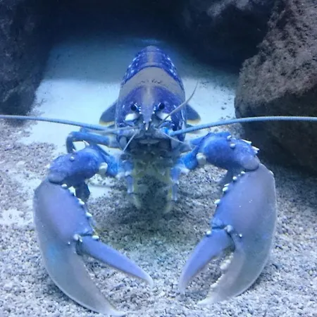 With Fantastic Sea View *