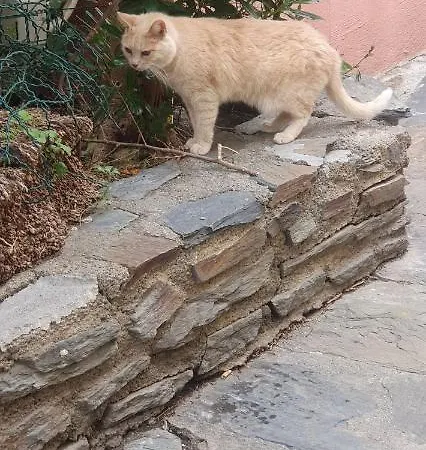 شقة With Fantastic Sea View *