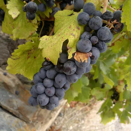 شقة With Fantastic Sea View *